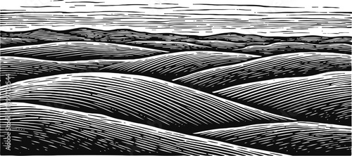 Black and white rolling hills landscape vintage countryside panoramic view with textured lines and horizon