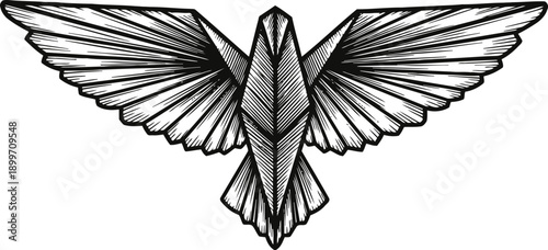 Black and white hand drawn bird with outstretched wings ornate detailed vintage ink illustration of flying bird silhouette