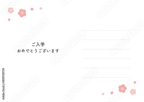 入学式・入学のお祝いカード 桜のあしらいと罫線
