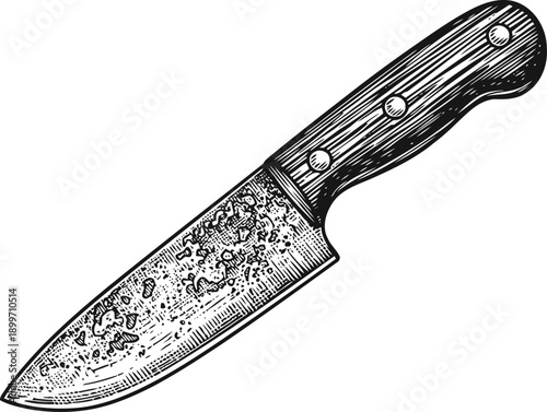 Vintage kitchen knife detailed engraving with wooden handle and sharp blade