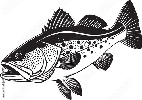 Lingcod Fish Hand-drawn Sketch Drawing Vector Illustration, Line Linear Symbol Engraving for Coloring Book, Black and White, Isolated