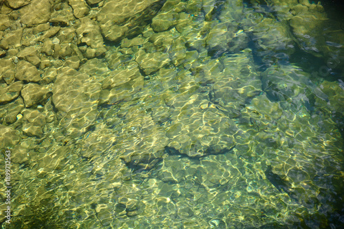 Golden sunlight creates shimmering patterns on the surface of transparent emerald water flowing over smooth river stones