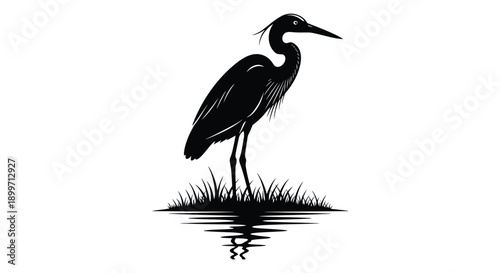A striking black heron stands gracefully amongst reeds reflected in water ideal for design use on transparent background silhouette high quality