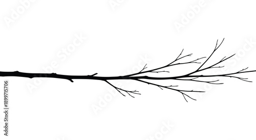 A minimalist black branch with delicate twigs extends across the frame on transparent background silhouette high quality professional detailed modern elegant