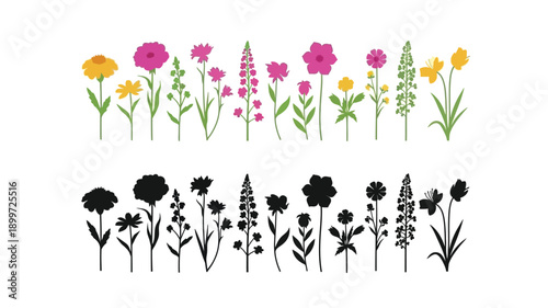 Colorful wildflowers and their corresponding black silhouettes are displayed