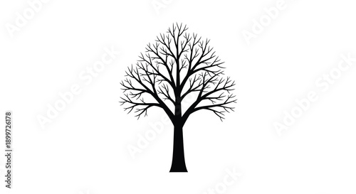 A detailed black tree illustration with intricate branches and a sturdy trunk ideal for design projects on transparent background silhouette