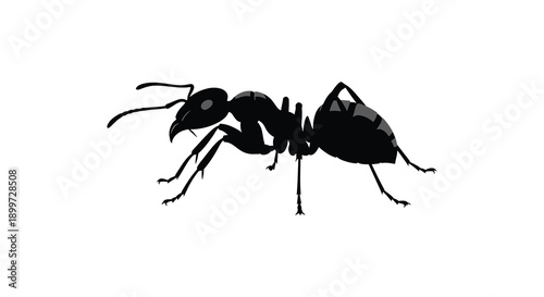 A detailed black silhouette of an ant in profile showcases its anatomy on transparent background high quality professional modern elegant stylish