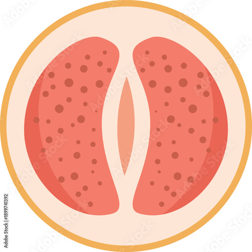 Grapefruit half showing juicy pink pulp with seeds and thick rind, flat vector art