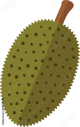 A whole green jackfruit with spiky rind and a stem, flat vector illustration on white