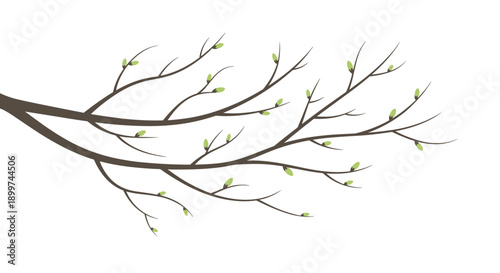Long Bare Tree Branch with Many Small Green Leaf Buds Starting to Open for Early Spring, Generative AI.