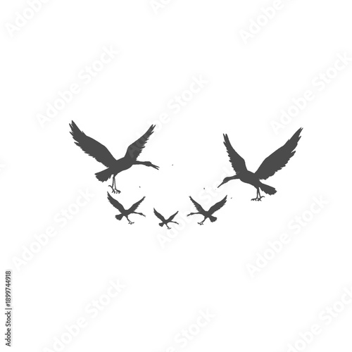 silhouette of a flock of cranes without background