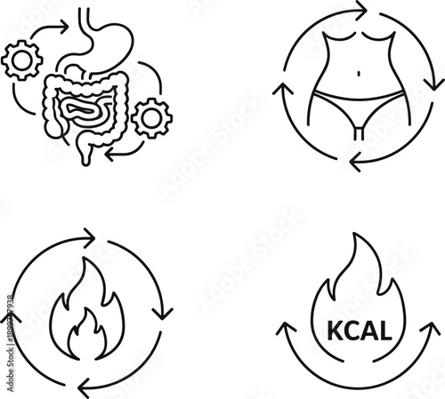 Metabolism and digestive health icon set featuring calorie burning symbols and human digestive system for fitness and wellness concepts.