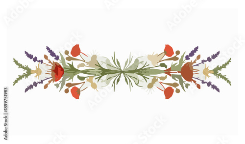 Vintage ornamental meadow flower border botanical illustration on white background
