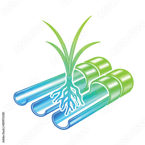 Scientific research of plant roots in test tubes, symbolizing biology, growth, and innovation