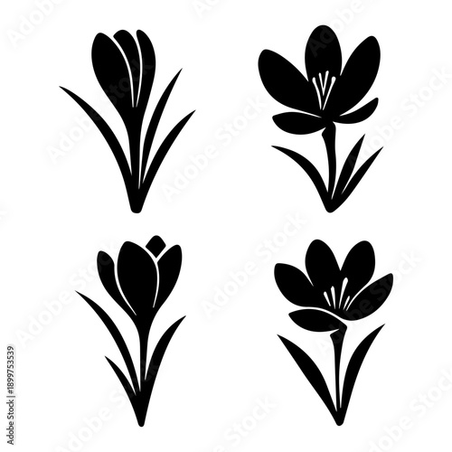 spring crocus silhouette set It features four elegant variations,bud and bloom stages with clean petal and leaf contour