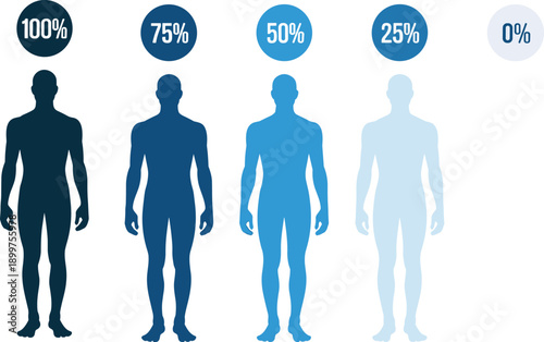 Human body opacity scale vector illustration, male silhouette transparency levels from zero to full percent, medical infographic for health, anatomy, and data visualization