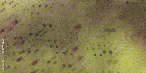 Abstract bloody grunge overlays fog isolated on black background. Scary Red and black horror red grunge texture and old wall texture effect powder color explosion background. Dark red slate backgr1065