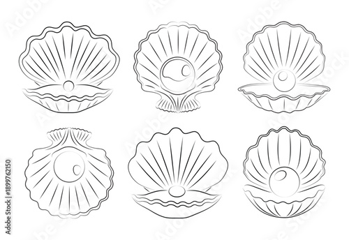Sea Shell with pearl set. Vector illustration. Icons for design. Love, romance beautiful symbol. Elegant vector icons. For gifts, Valentine's Day, birthday, cards, decoration.