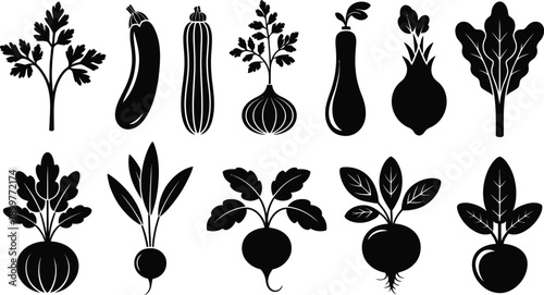 Monochrome vector set of isolated root vegetables and leafy greens, including parsley, eggplant, zucchini, onion, beetroot, and radish, on a transparent background.