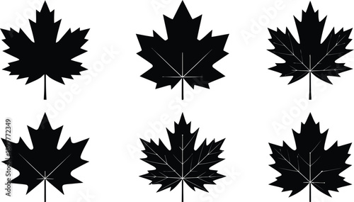 Wallpaper Mural Vector illustration of six distinct black maple leaf silhouettes, each with unique vein patterns, isolated on a transparent background. Torontodigital.ca