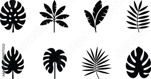 Comprehensive Botanical and Holiday Silhouette Collection