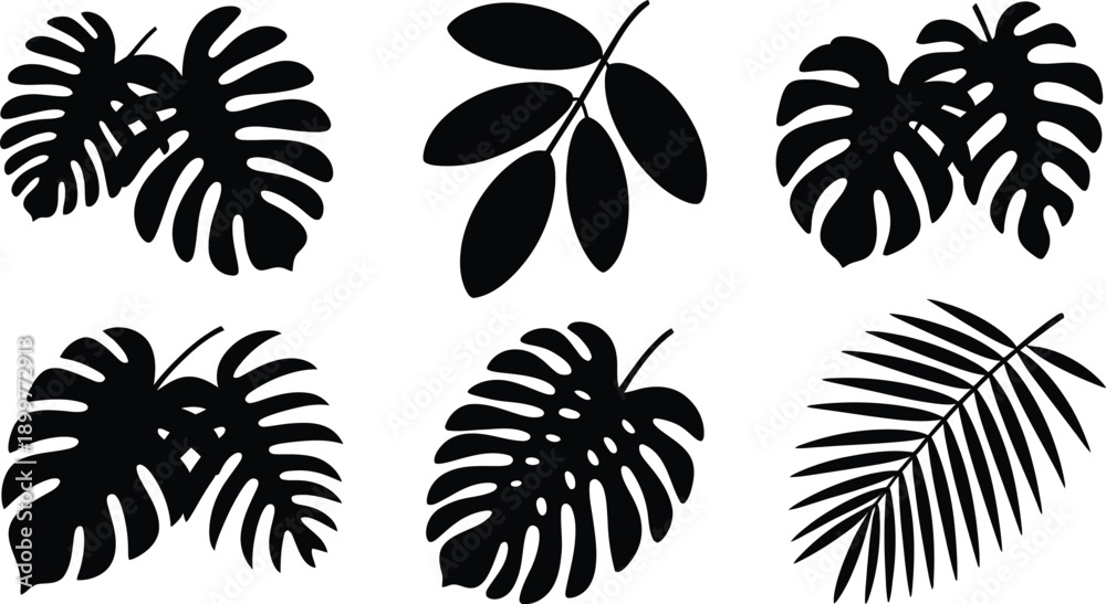 Fototapeta premium Diverse Botanical and Ornamental Design Collection