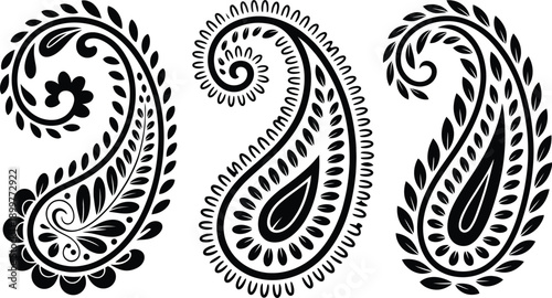 Elegant Paisley Floral Pattern Silhouettes