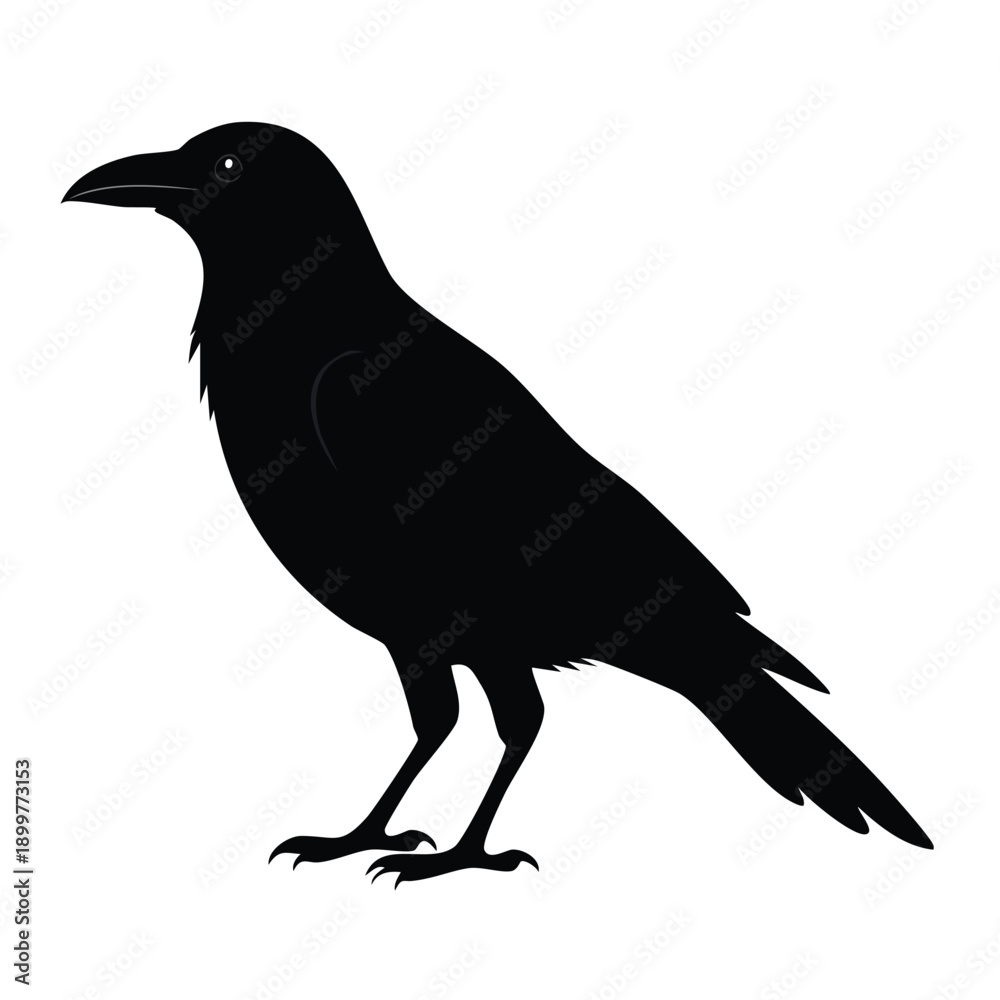 Fototapeta premium Black bird on a white background with a blue circle