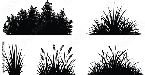 Wild Grass Landscaping Silhouettes