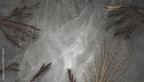 Dry Plants Arranged on a Textured Surface for a Natural Composition Idea