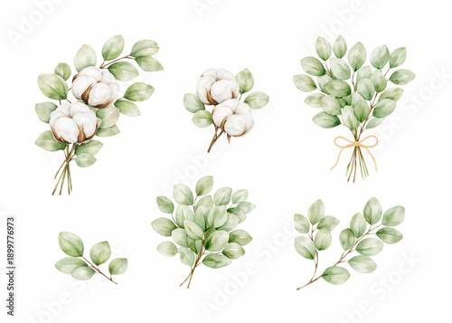Set of differents eucalyptus branches on white background. Watercolor, line art, outline illustration