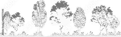 tree section outlines, side view forest and wetland line drawings, architectural landscape design vector elements collection