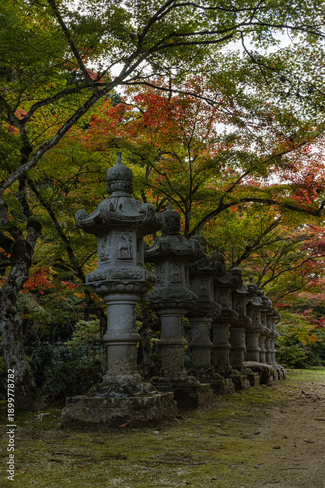 Fototapeta premium 日本 広島県三原市高坂町にある佛通寺の紅葉した木々と灯籠