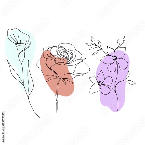 colored feces, rose, wild flower. set line art set of flowers . minimalism sk...