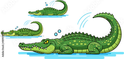 Three cartoon crocodiles of varying sizes swimming in blue water illustrating aquatic reptile life and wildlife illustration