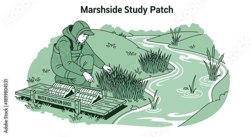 Scientist studying marsh plants in a natural wetland environment.