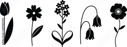 a simple black and white illustration showcases five distinct flower silhouettes arranged horizontally displaying varied floral shapes and botanical details