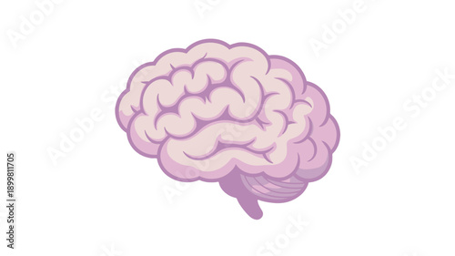 An illustration of a light purple brain against a minimalist backdrop.