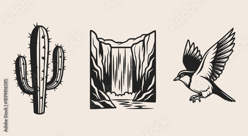 Desert Wildlife Illustration Set