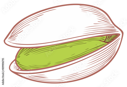 Open pistachio nut with vibrant green kernel illustration