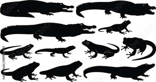 Set of reptile and amphibian silhouettes including crocodiles, lizards, and frogs, black isolated vector animals for wildlife, nature, and educational design projects