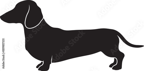 Dachshund dog silhouette vector icon 