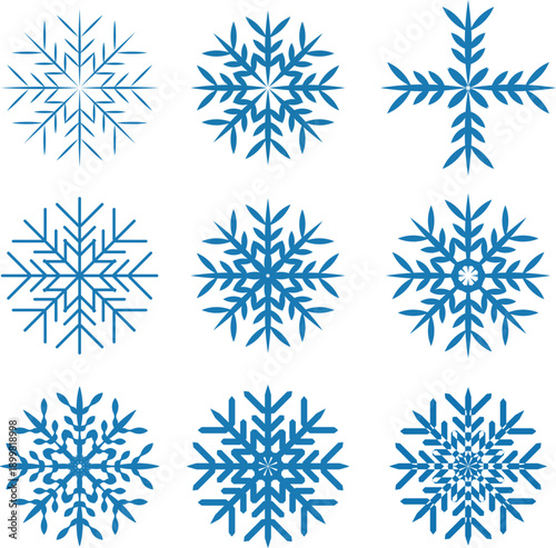 Snowflake Vector. vector illustration of different snowflake icons isolated on a white background.

