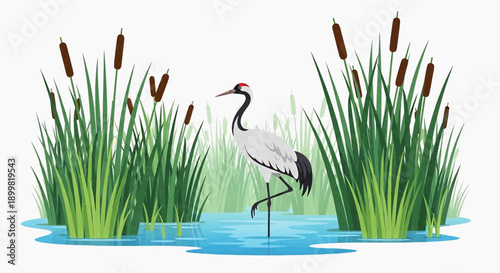 A majestic crane stands alone in a serene wetland surrounded by tall grasses and cattails from a frontal viewpoint