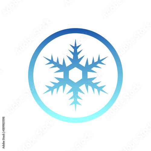Winter snowflake vector logo template