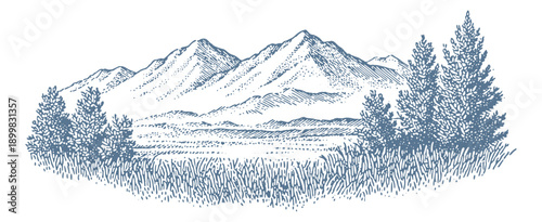 Εκτύπωση καμβά Vintage hand-drawn mountain landscape with pine trees and grassy foreground