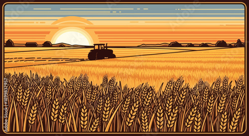 Tractor harvesting wheat field at sunrise in golden hues.