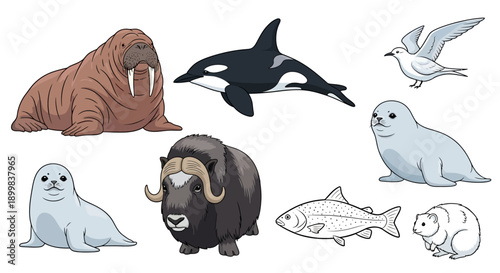 Collection of Arctic animals and wildlife