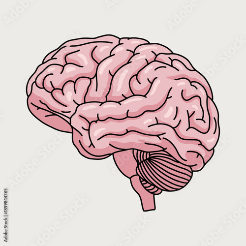 Isolated Shiny Human Brain Vector Illustration with 3D Effect Icon in Pastel Pink. Isolated on Light Background. Neural Mental Health Creativity Concept Idea