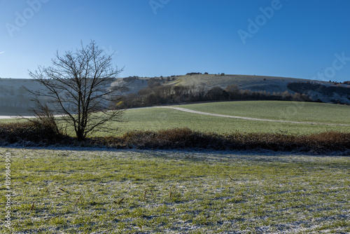 A view over fields in the Sussex countryside, with frost on the ground and a blue sky overhead